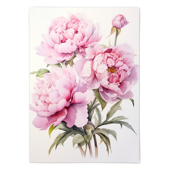 Watercolor Peonies Wall Art Illustration Print Poster Unframed - Picture 2 of 5